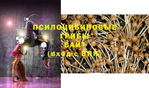 метадон Алексеевка