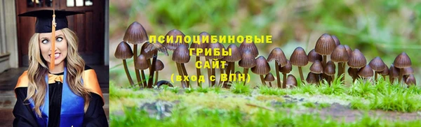 твердый Алексин