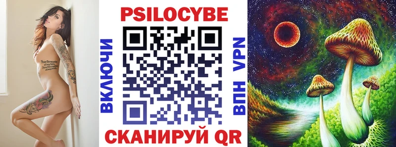 Галлюциногенные грибы Psilocybine cubensis  как найти   Почеп 